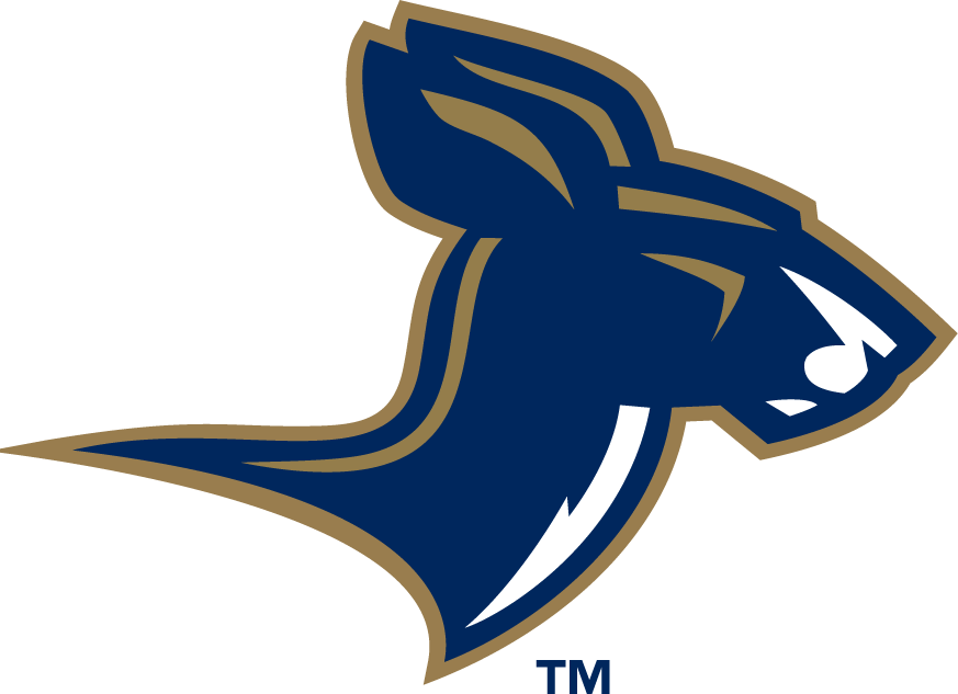 Akron Zips 2002-Pres Alternate Logo v4 diy iron on heat transfer